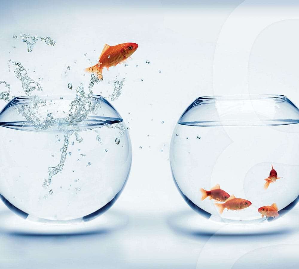 Gnovauno asesores fiscales en Sevilla calle Genova 1. Gestión integral de empresas y profesionales