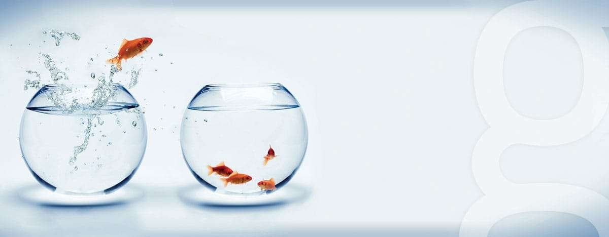 Gnovauno asesores fiscales en Sevilla calle Genova 1. Gestión integral de empresas y profesionales